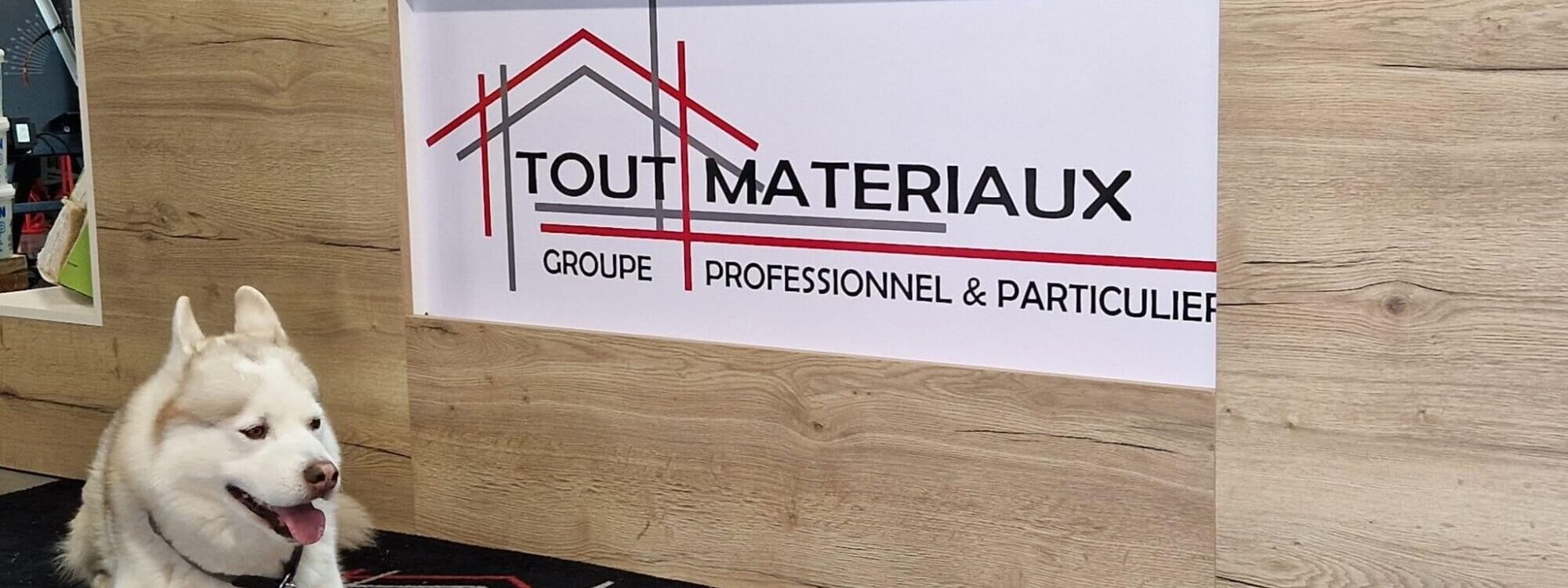 Visite surprise du chien du film Hatchi chez Tout Matériaux ! Schiltigheim