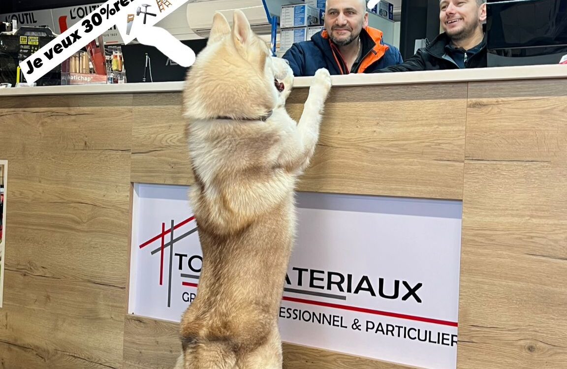 Visite du chien Hatchie, grande star du film avec Richard Gere chez Tout mat&eacute;riaux &agrave; Goxwiller Erstein