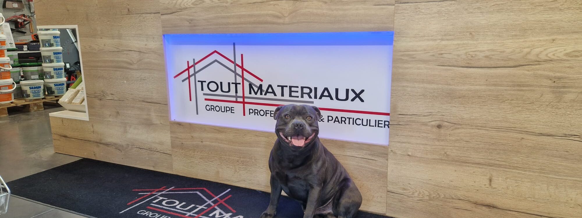 Visite du beau chien de France &agrave; Tout Mat&eacute;riaux Goxwiller S&eacute;lestat