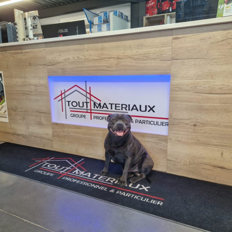 Visite du beau chien de France &agrave; Tout Mat&eacute;riaux Goxwiller S&eacute;lestat